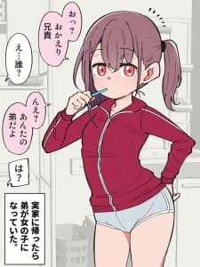 Hisashiburi Ni Jikka Ni Kaettara Otouto Ga Ts Shiteta. manga cover