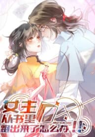 What Do You Do If the Heroine Escapes From Your Novel? manga cover
