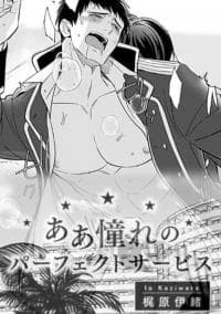 Aa Akogare No Perfect Service manga cover