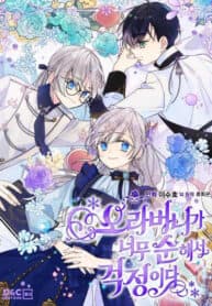 I’am Worried that My Brother is Too Gentle manga cover