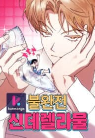 Imperfect Cinderella Story manga cover