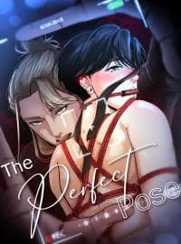 The Perfect Pose manga cover