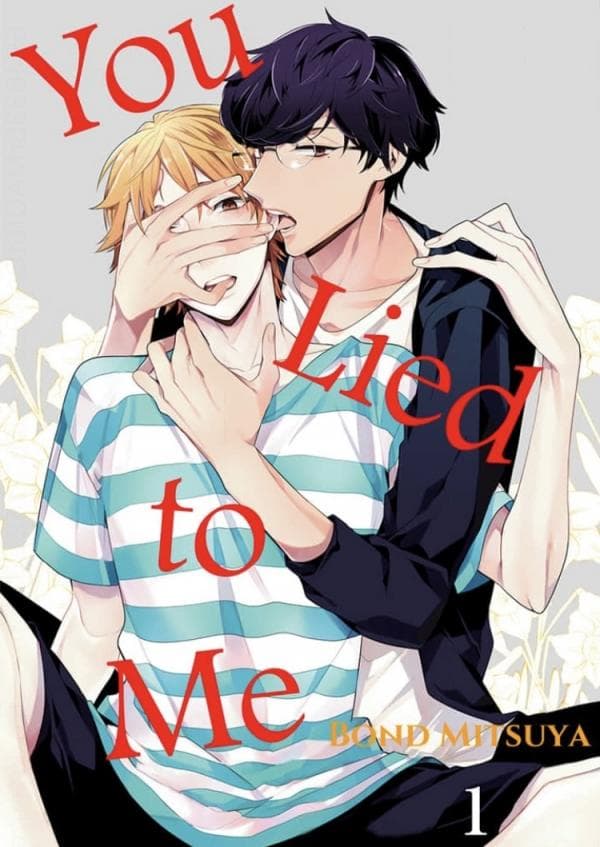 You Lied to Me manga cover