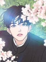 Not Blossom manga cover