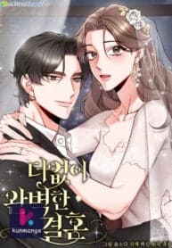 The Most Perfect Marriage manga cover