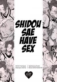 ShidouSae have sex – Blue Lock dj manga cover