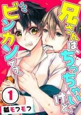 My Big Brother's is Small Yet So Sensitive manga cover