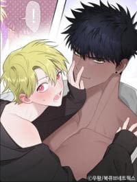 Plum Love manga cover