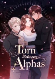 Torn Between Alphas manga cover