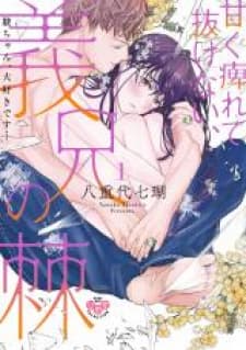 Amaku Shibirete Nukenai, Ani No Toge ~Shun-Chan, Daisukidesu...~ manga cover