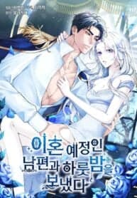 I Spent the Night with My Soon-to-be Ex-Husband manga cover