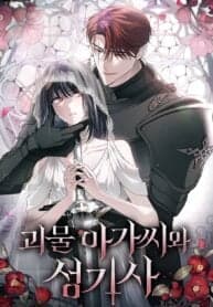 The Monster Lady and the Holy Knight manga cover