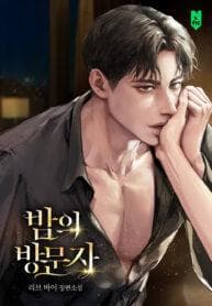 The Visitor Of The Night manga cover