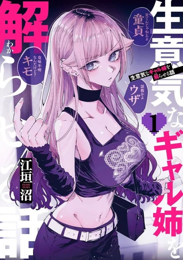 Namaiki na Gal Ane wo Wakaraseru Hanashi manga cover